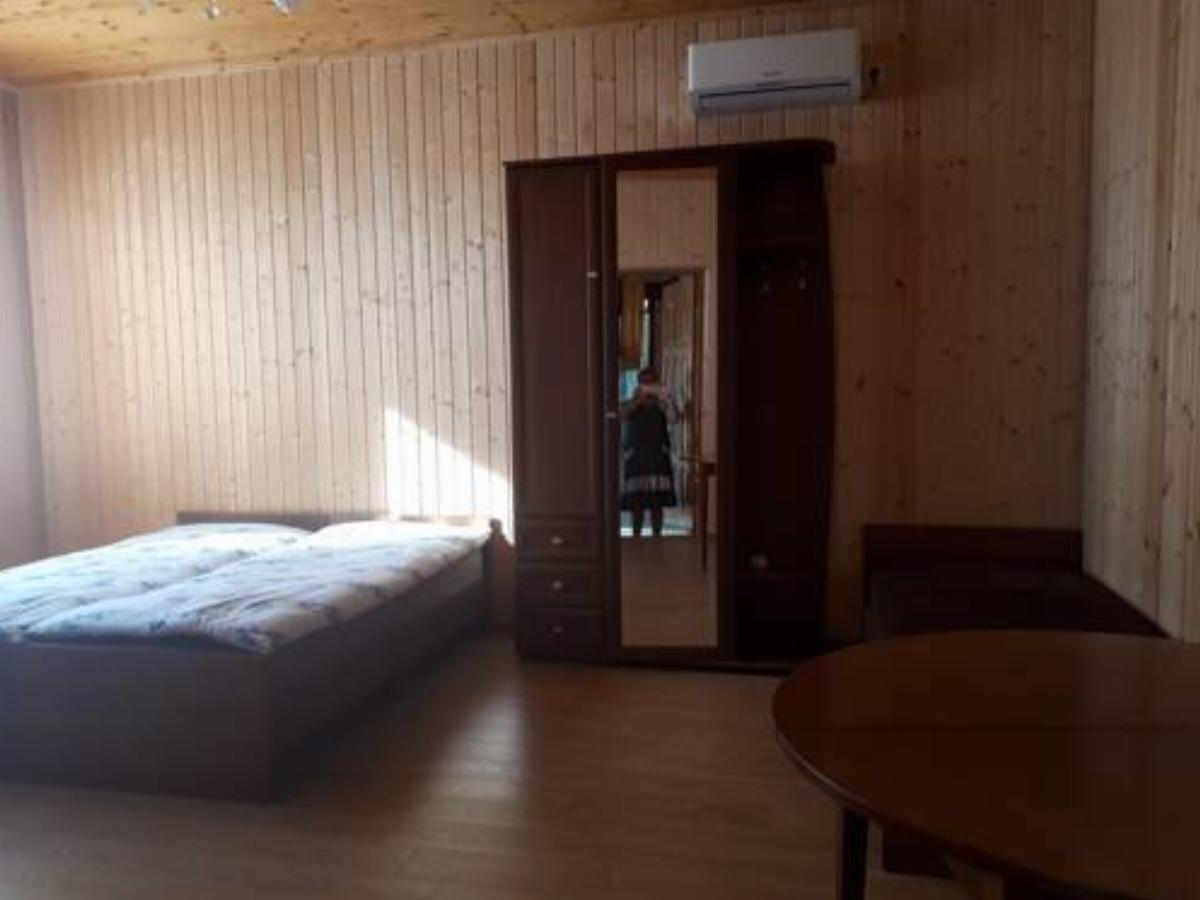 Guesthouse on Apsny 18 Hotel Lidzava Abkhazia