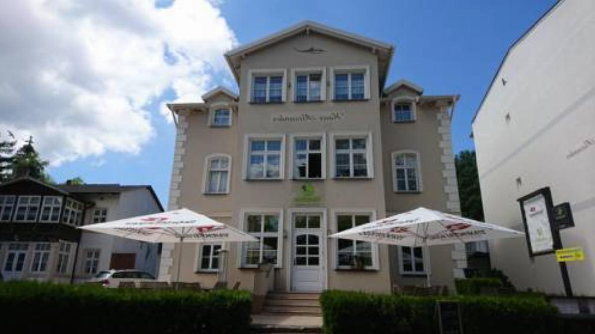 Haus Alexander Hotel Heringsdorf Germany