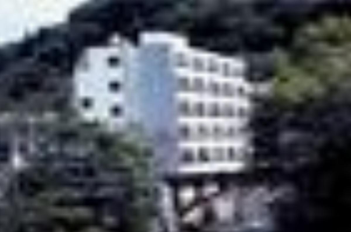 Higashiyama Daiichi Hotel Hotel Kiso-fukushima Japan