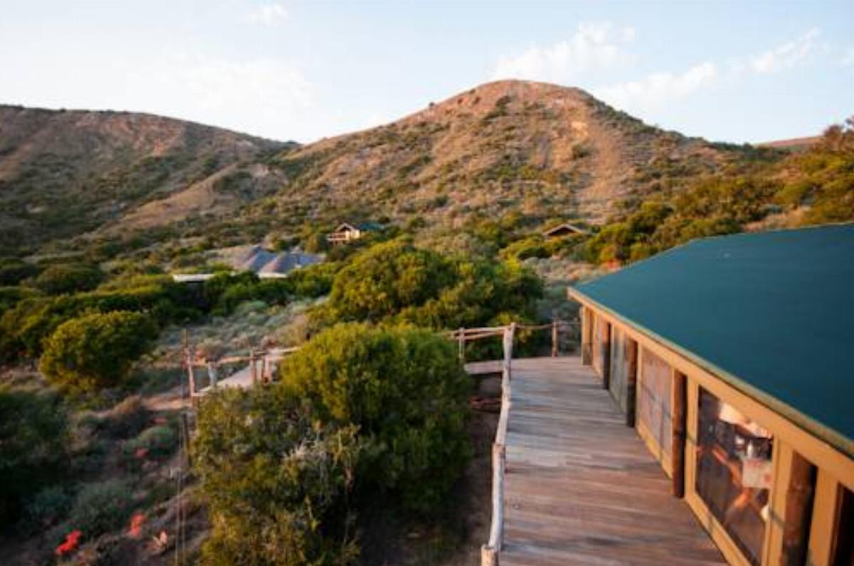 HillsNek Safaris Hotel Amakhala Game Reserve South Africa