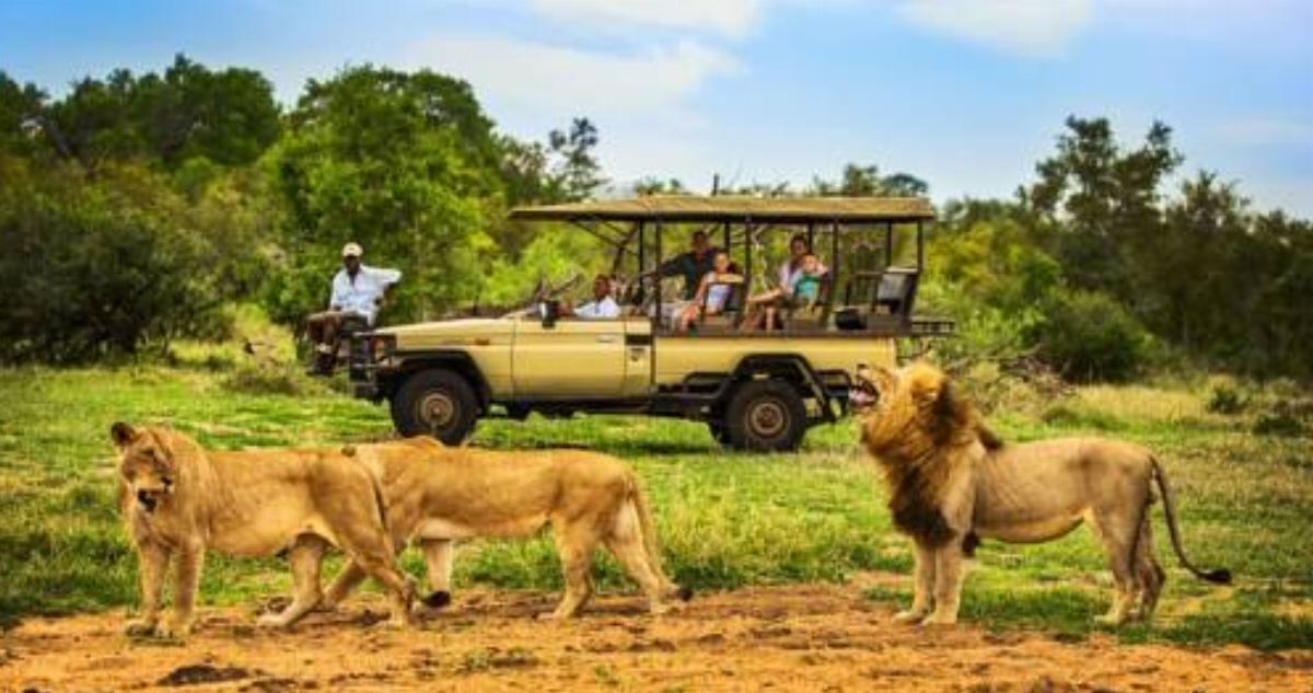 Honeyguide Tented Safari Camps Hotel Manyeleti Game Reserve South Africa