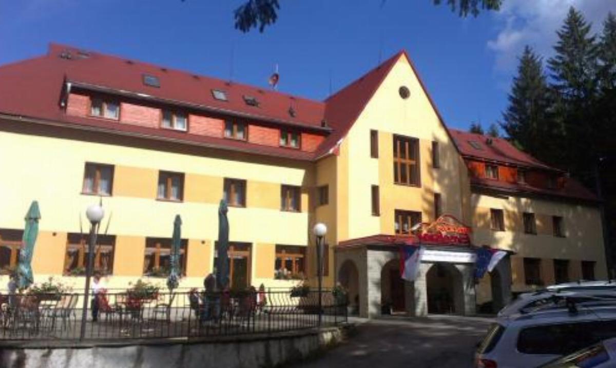 Horský hotel Excelsior Hotel Horní Lomná Czech Republic