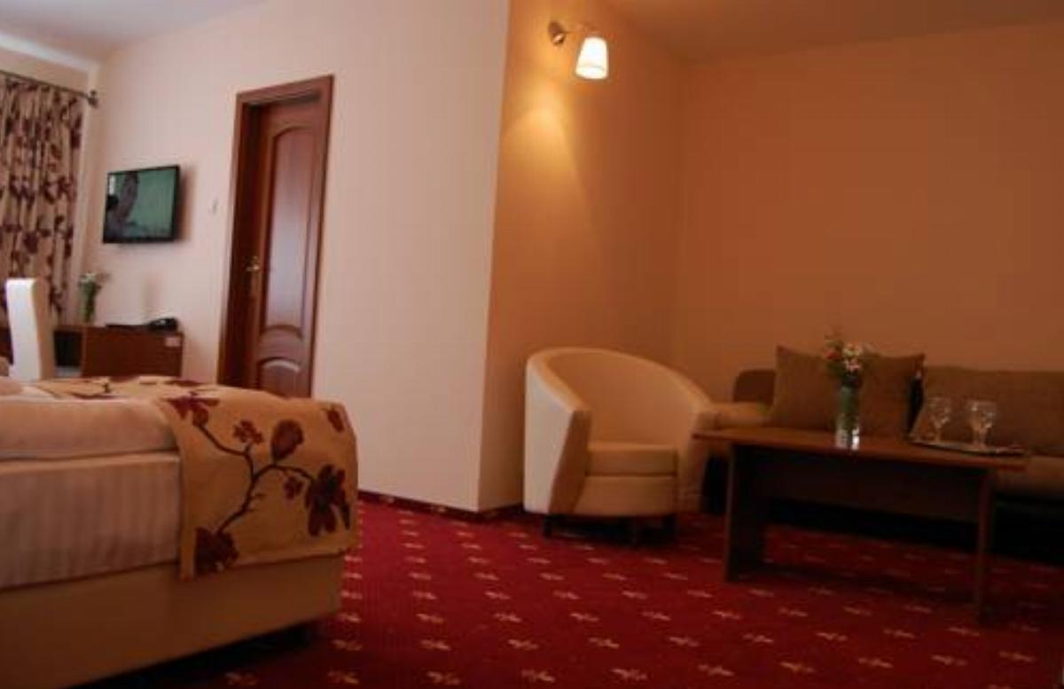 Hostel Paltinis Hotel Hunedoara Romania