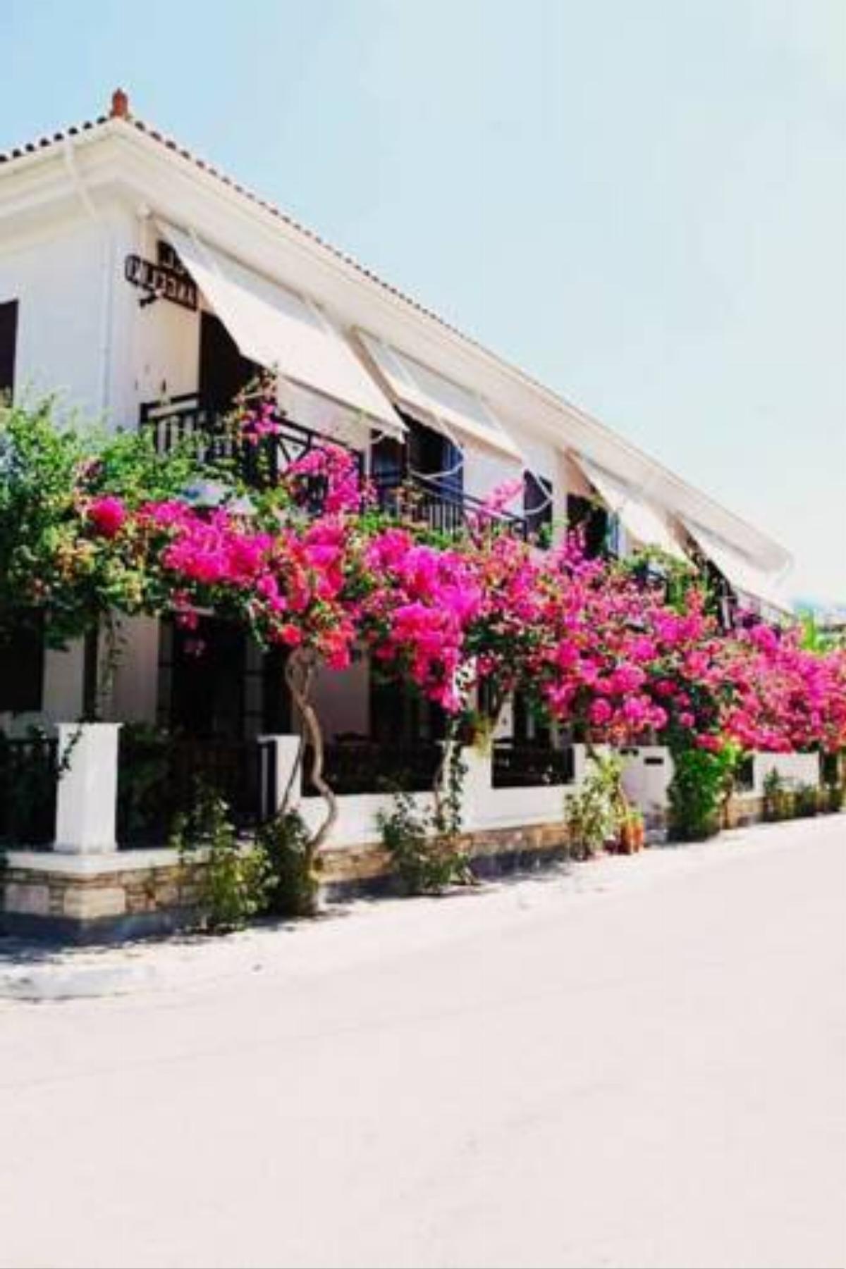 Hotel Angeliki Hotel Iraion Greece