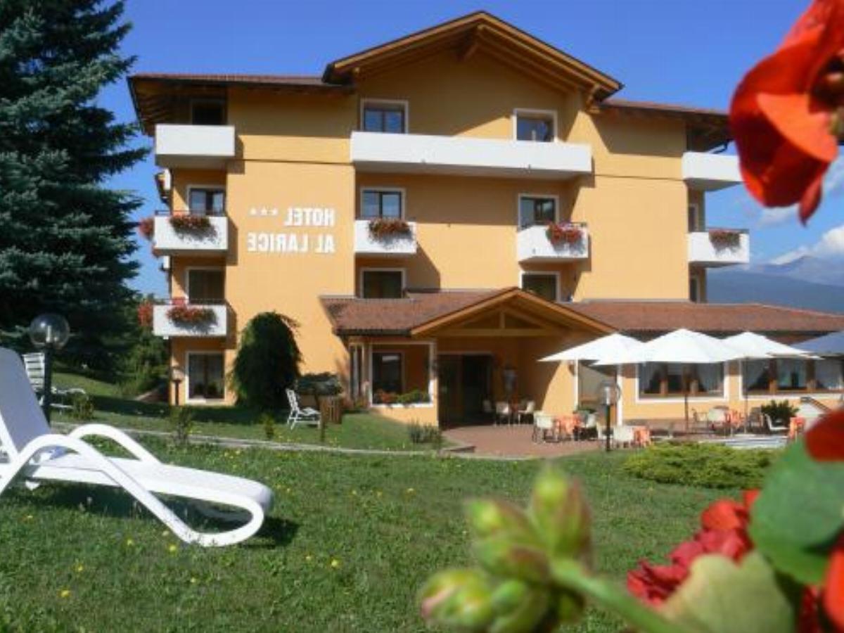Hotel & Appartamenti Al Larice Hotel Ronzone Italy