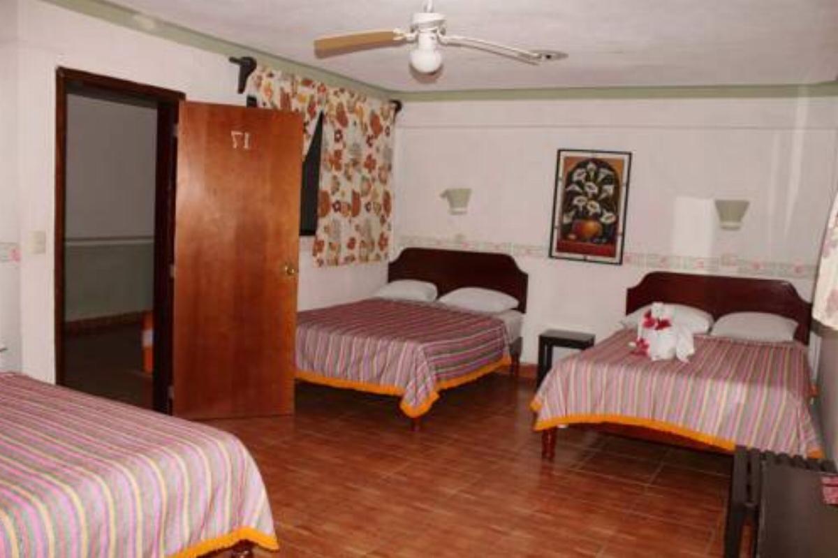 Hotel El Faisan y el Venado Hotel Felipe Carrillo Puerto Mexico