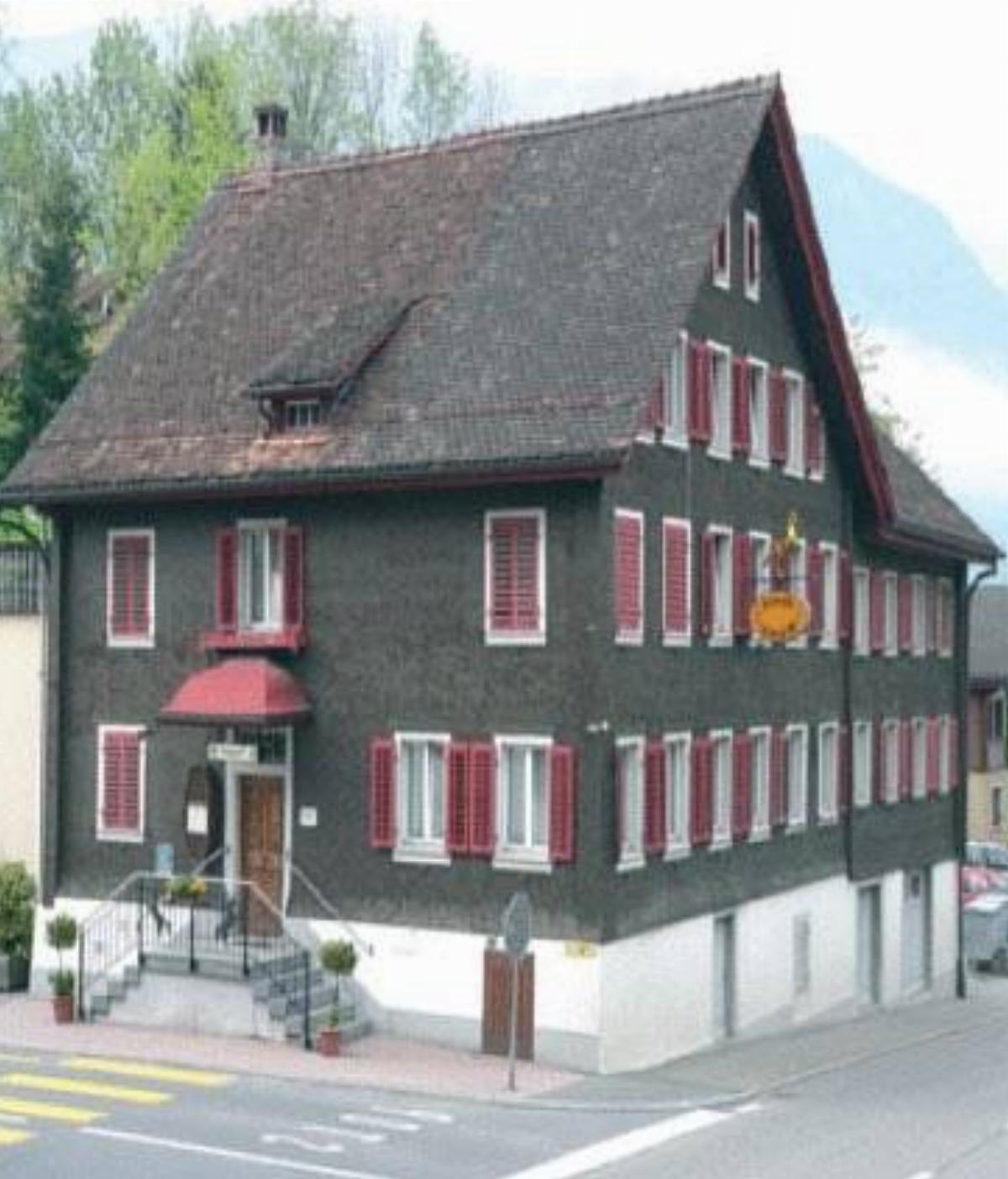 Hotel Rössli Hotel Goldau Switzerland