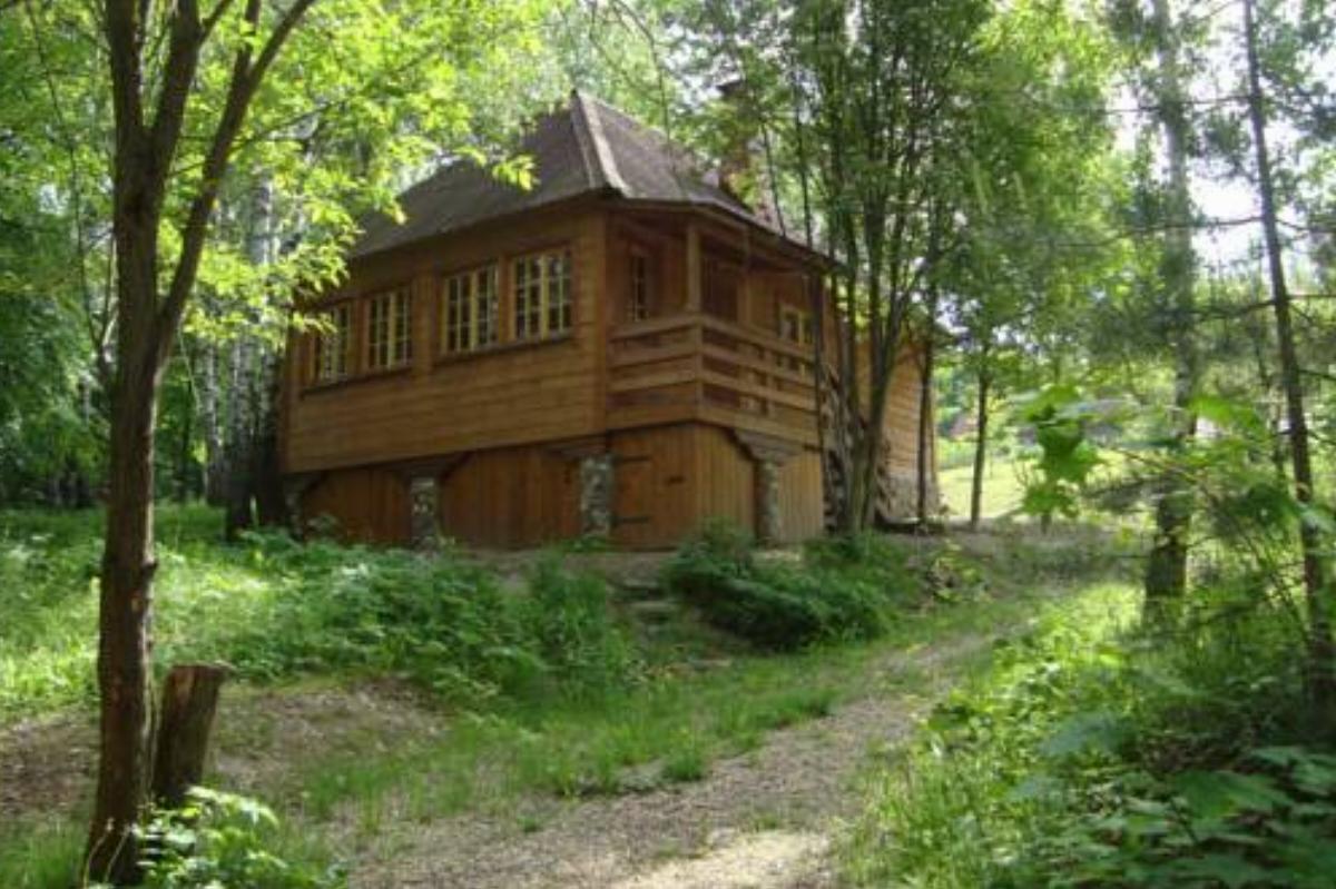 House at the lake Hotel Pereslavl-Zalesskiy Russia