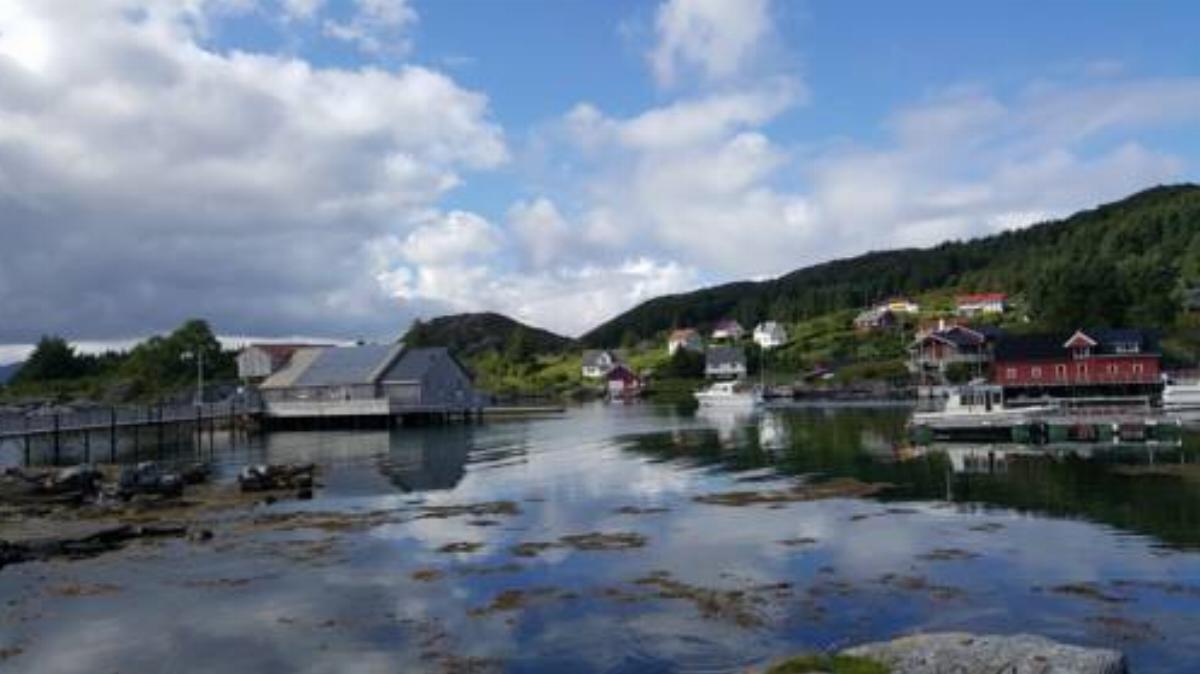 Hytte ved sjøen Hotel Halsøyr Norway