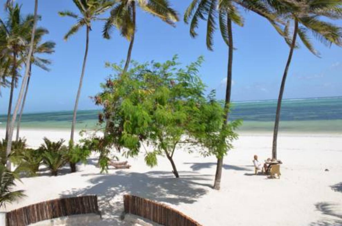 Indigo Beach Zanzibar Hotel Bwejuu Tanzania