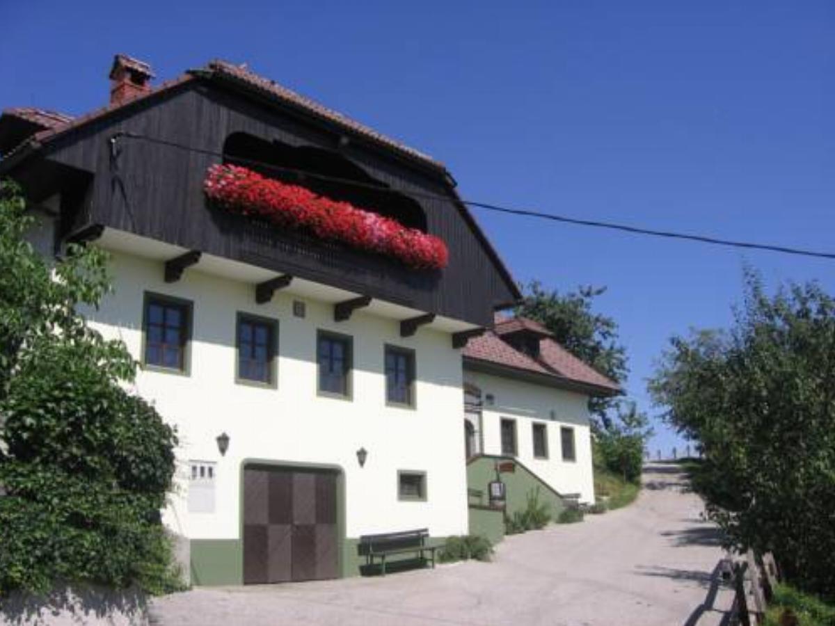Inn Na vihri Hotel Medvode Slovenia