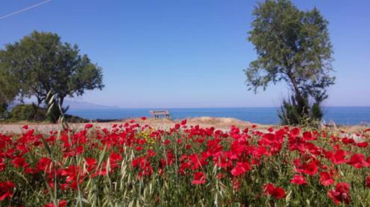 Irida Beach Resort Suites Hotel Kyparissía Greece