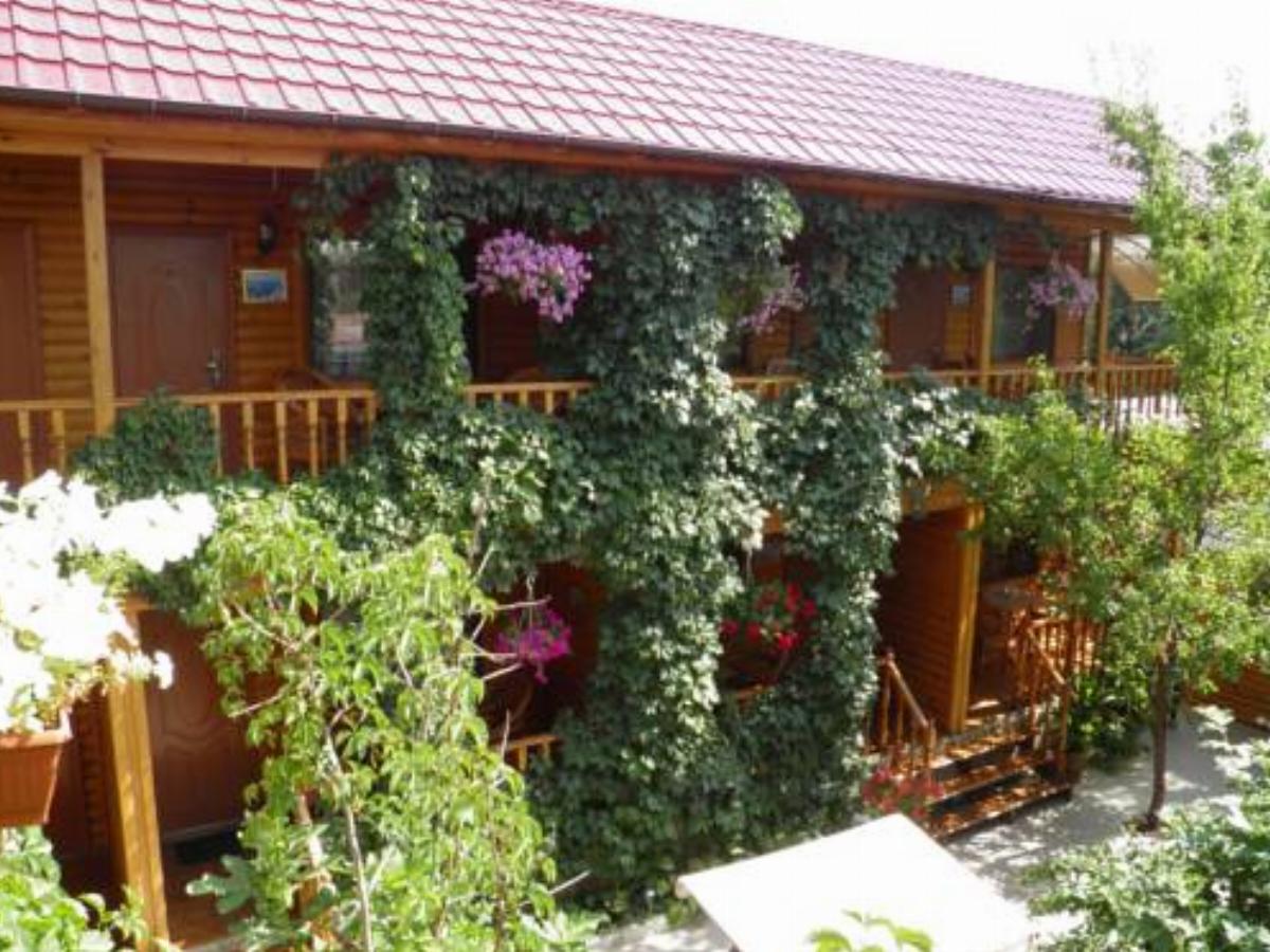 Ivolga Guest House Hotel Koktebel Crimea