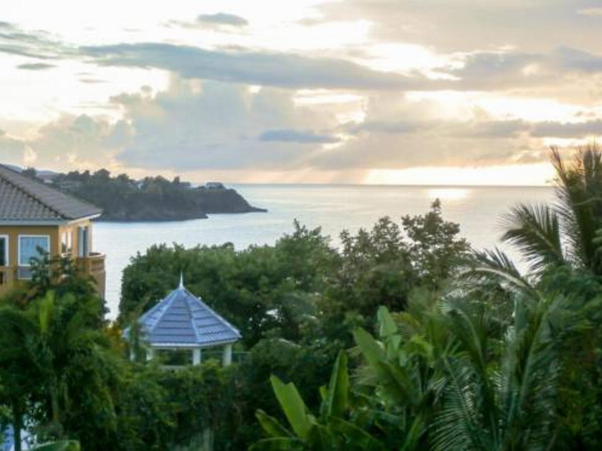 Jamaica Ocean View Villa Hotel Boscobel Jamaica