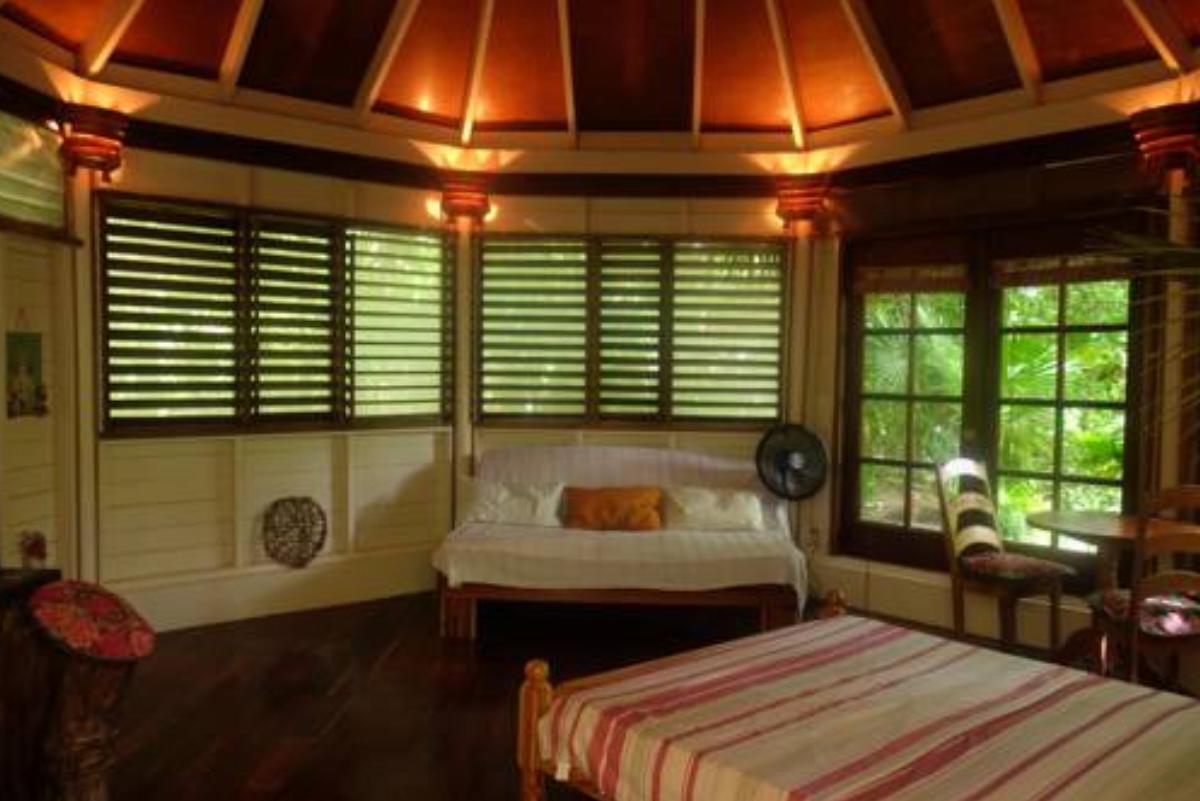 Jungle Cocoon Hotel Caye Caulker Belize
