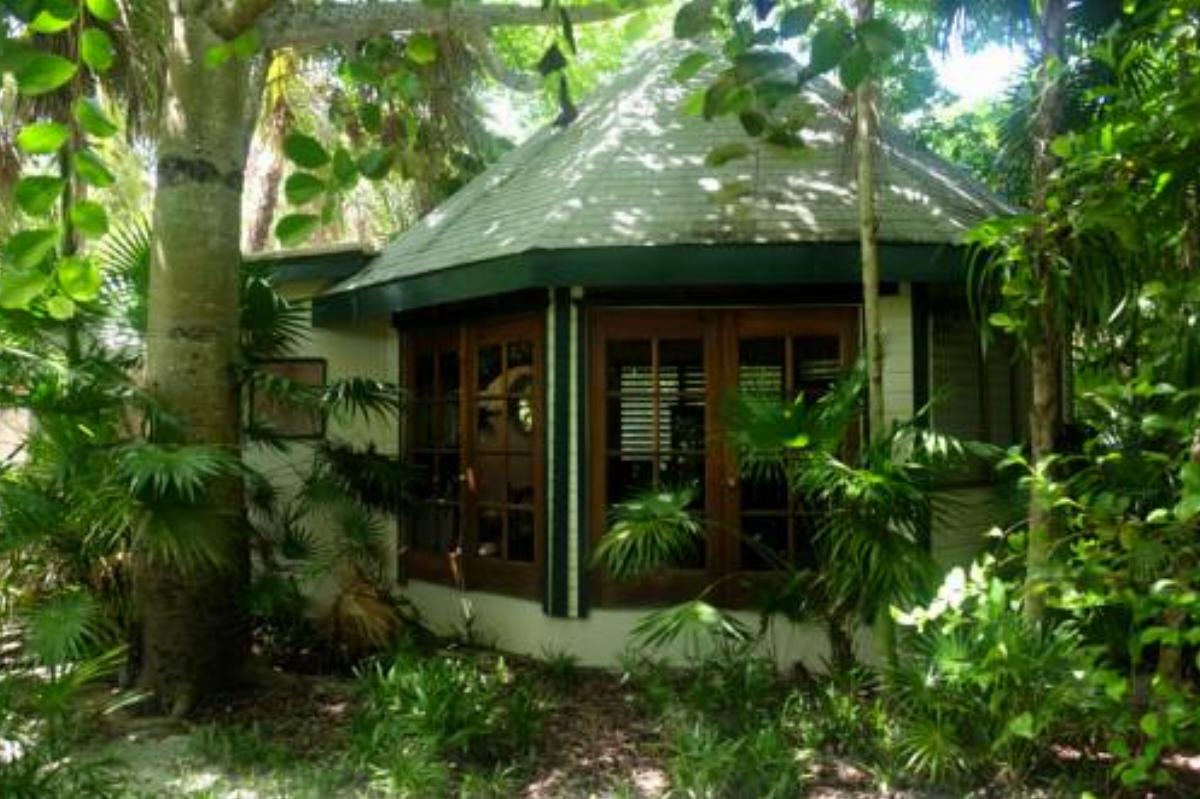 Jungle Cocoon Hotel Caye Caulker Belize