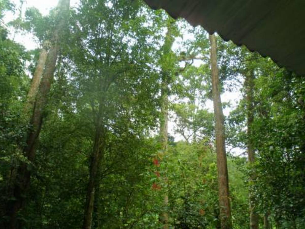 Jungle Track Eco Lodge Hotel Kalawana Sri Lanka
