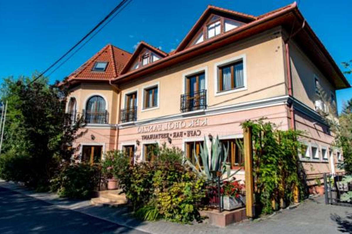 Kék Öböl Panzió Hotel Balatonfůzfő Hungary