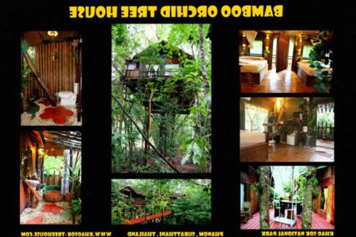 Khaosok Treehouse Resort Hotel Khao Sok Thailand