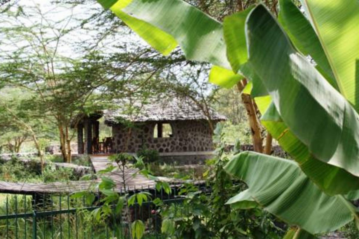 Kiboko Lodge Hotel Usa River Tanzania