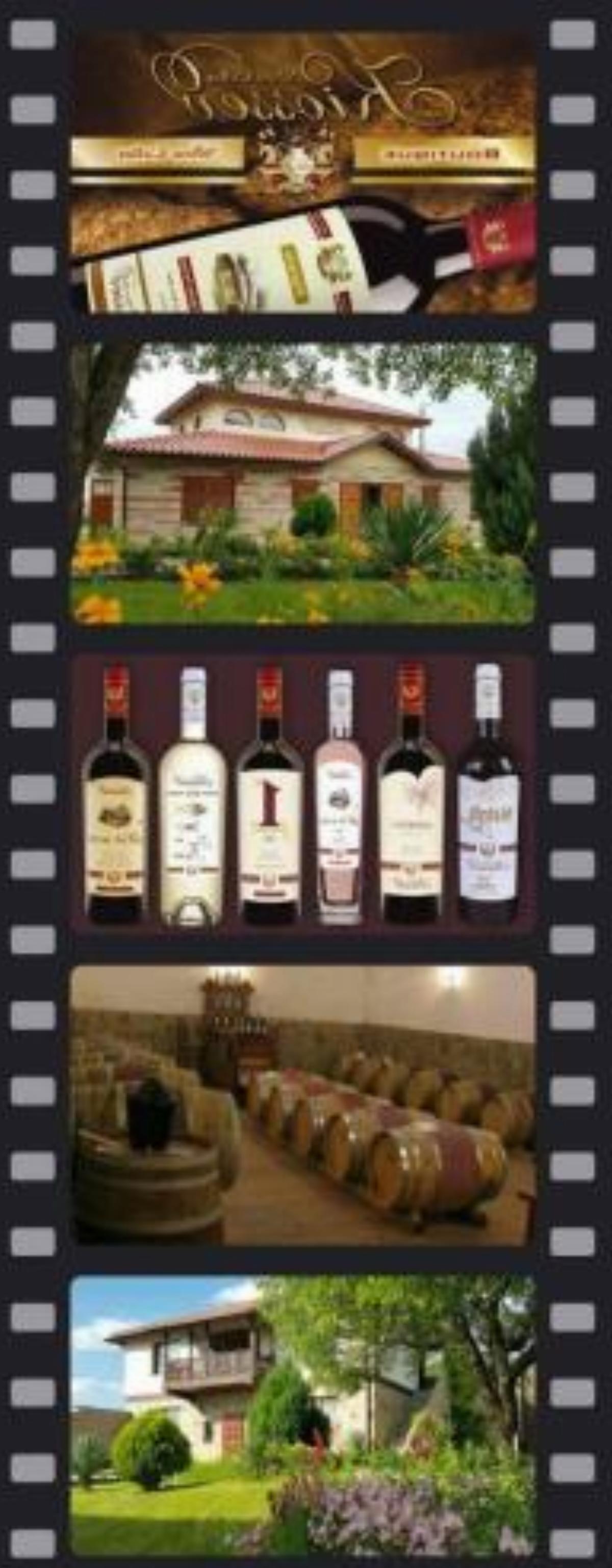 Kiossev wine cellar Hotel Ilindentsi Bulgaria