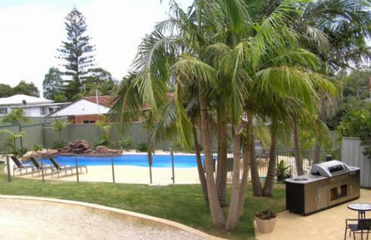Koala Tree Motel Hotel Port Macquarie Australia