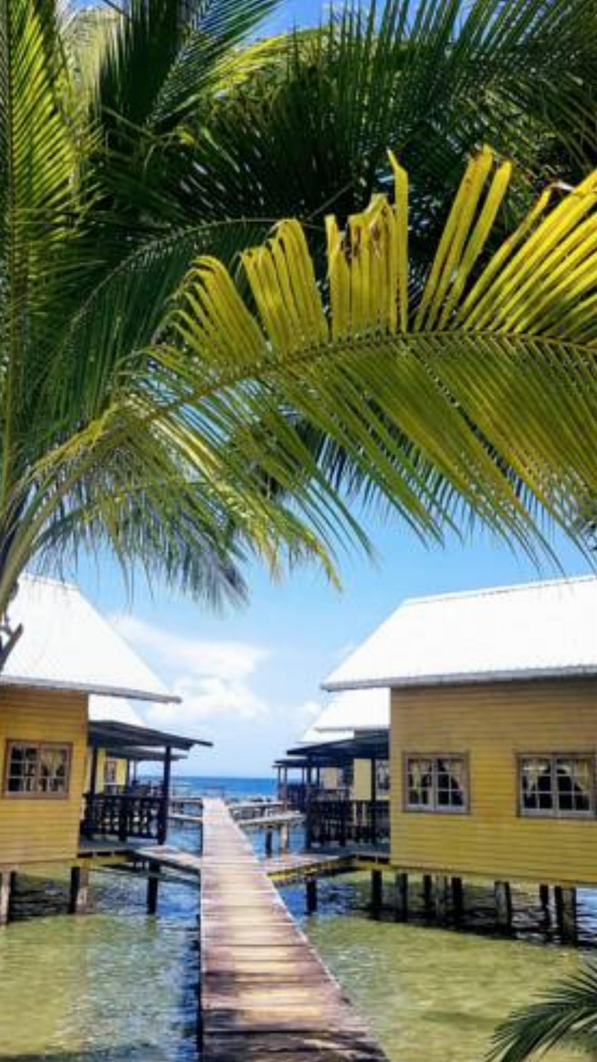 Koko Acqua Lodge Hotel Bocas Town Panama