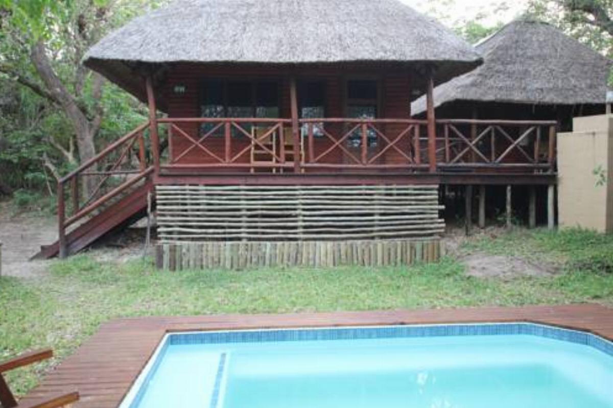 Kosi Bay Lodge Hotel Manguzi South Africa