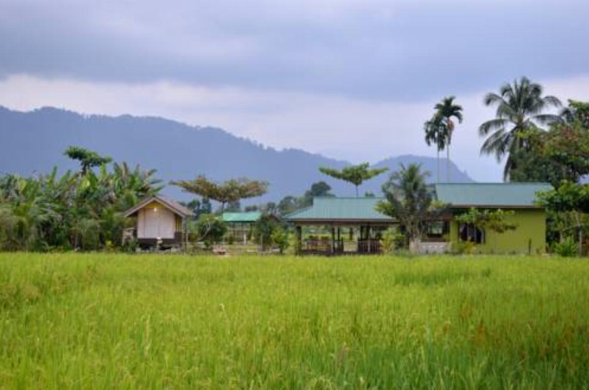 Landbow Green Village 1 Hotel Bukit Lawang Indonesia