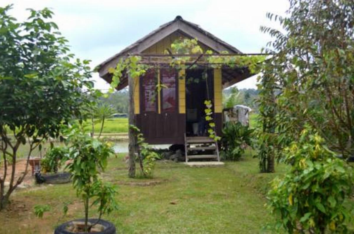 Landbow Green Village 1 Hotel Bukit Lawang Indonesia