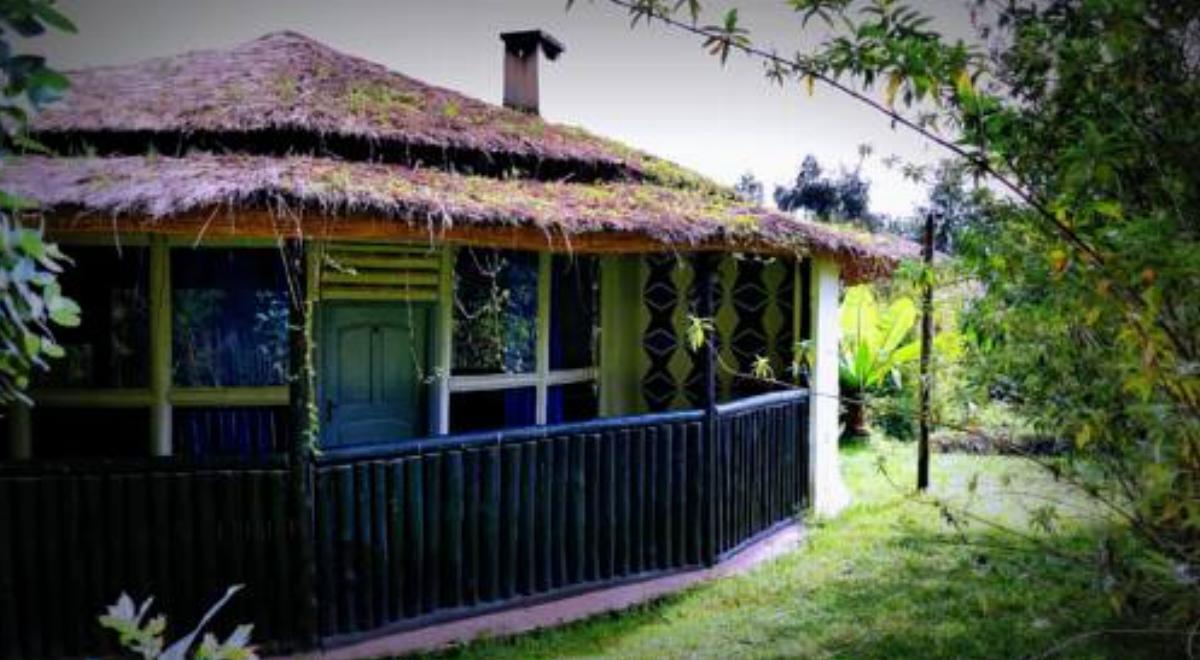 Le Bambou Gorilla Lodge Hotel Ruhengeri Rwanda