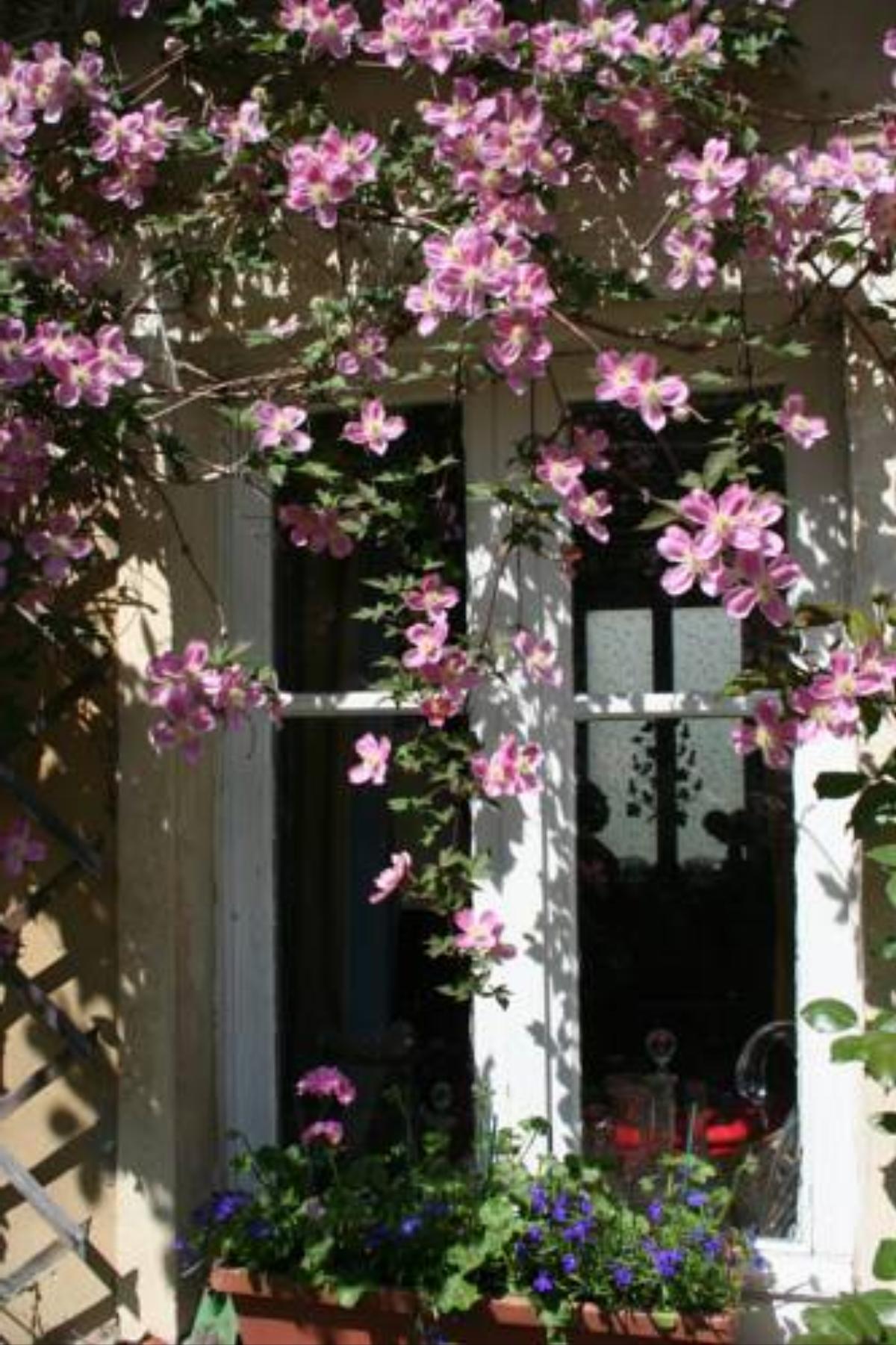Lily cottage Hotel Dannemarie France
