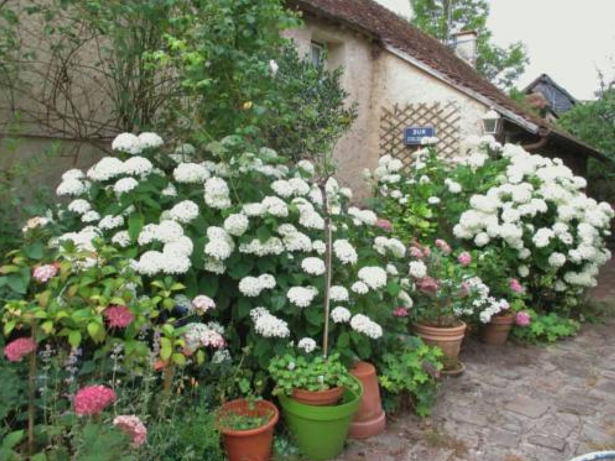 Lily cottage Hotel Dannemarie France