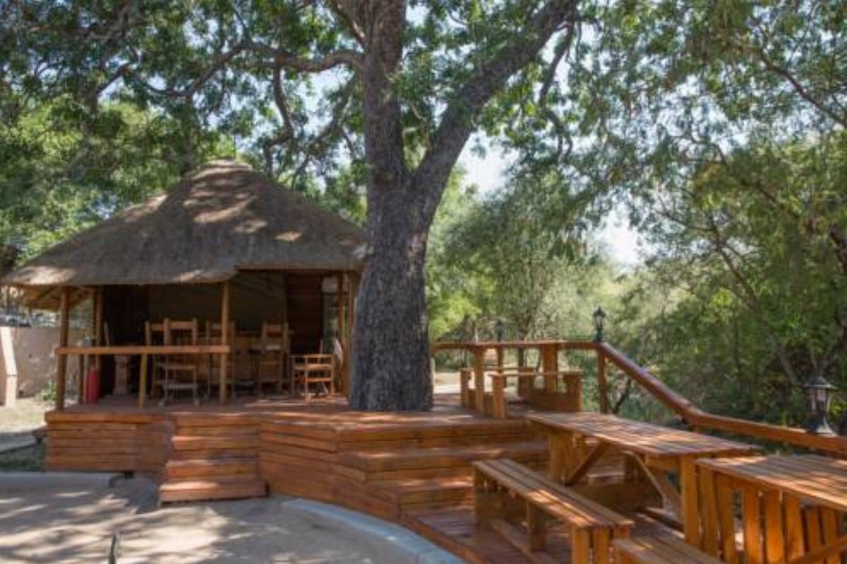Lion Tree Top Lodge Hotel Guernsey Nature Reserve South Africa