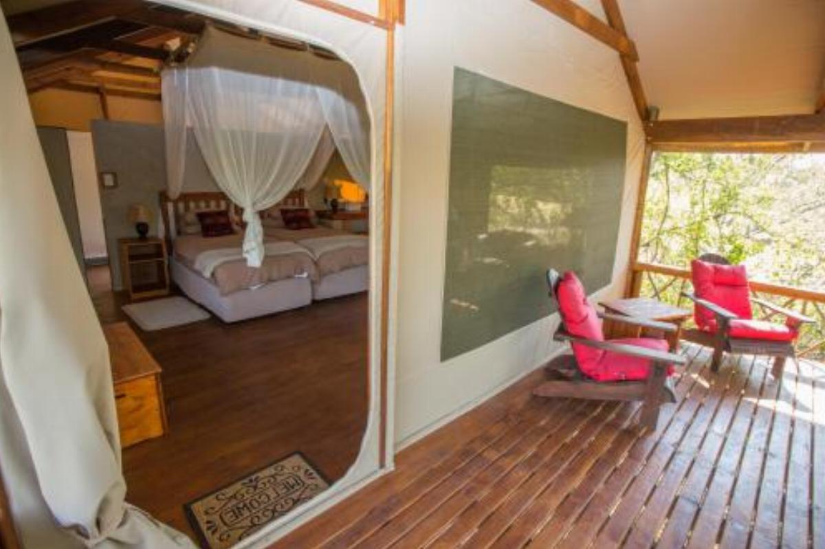Lion Tree Top Lodge Hotel Guernsey Nature Reserve South Africa