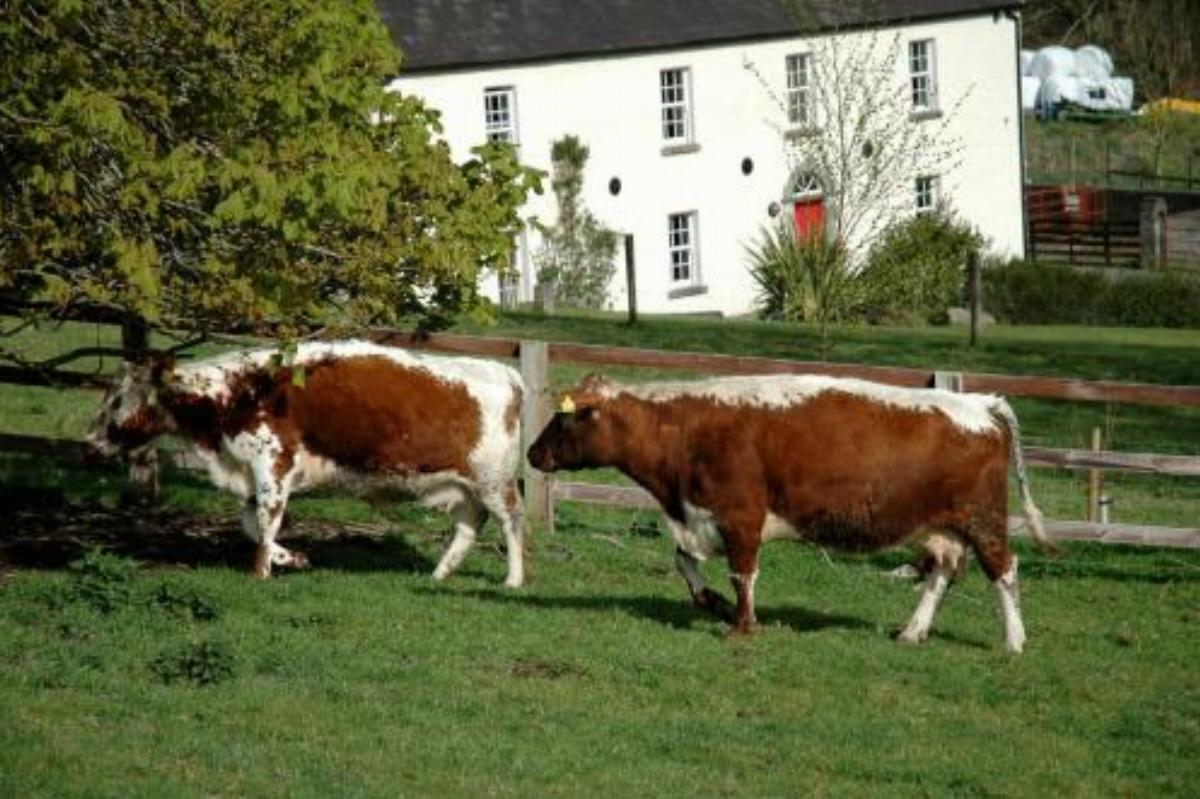 Lough Bishop House Farm stay Hotel Castlepollard Ireland