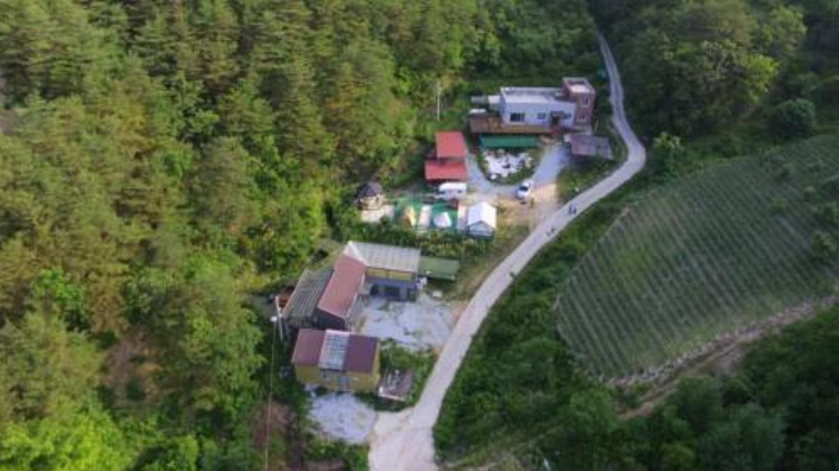 Luxe Glamping and Farm Andong Pension Hotel Andong South Korea