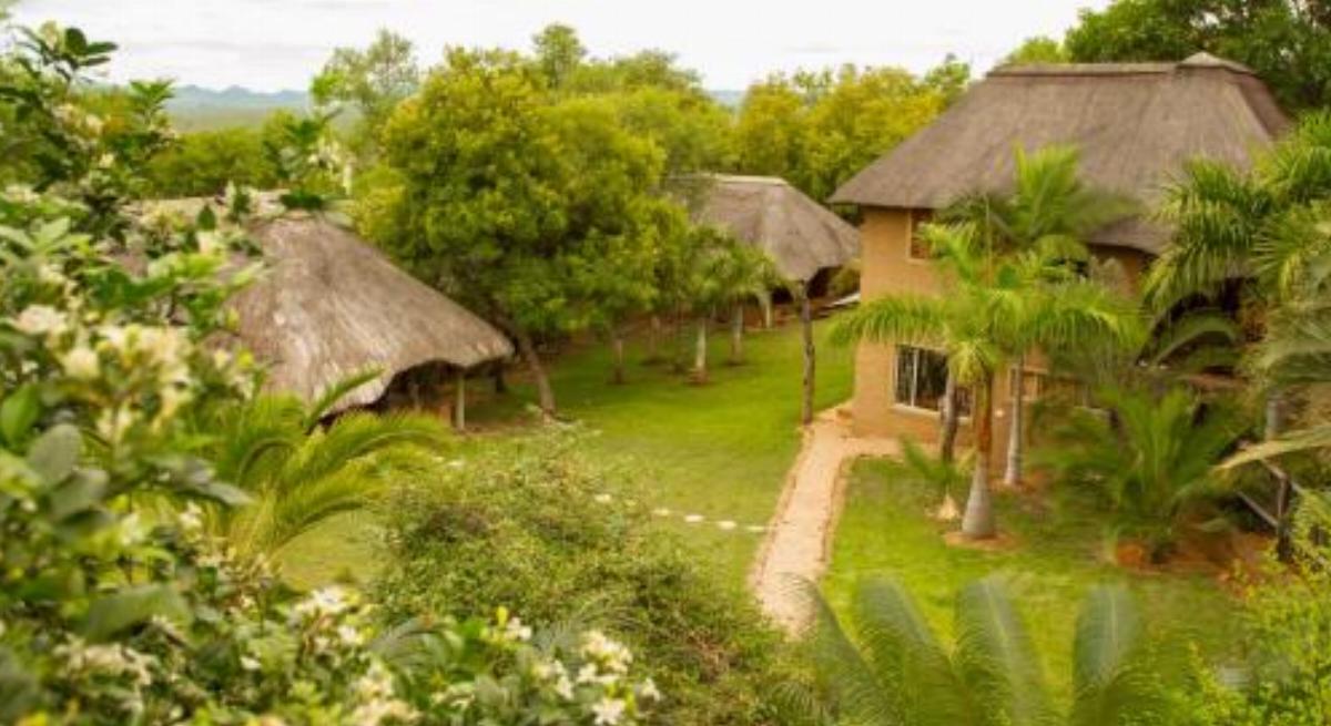 Mafigeni Safari Lodge Hotel Makutsi Game Reserve South Africa