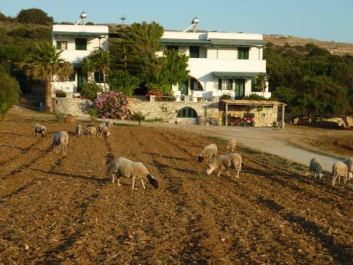 Manolis Farm Guest House Hotel Aliko Beach Greece