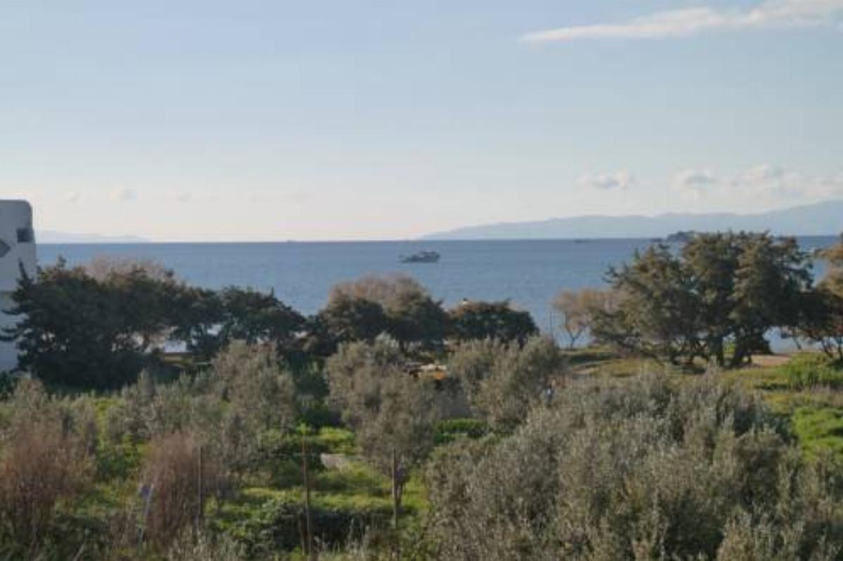 Mina's Studios in Naxos Island Hotel Agios Prokopios Greece