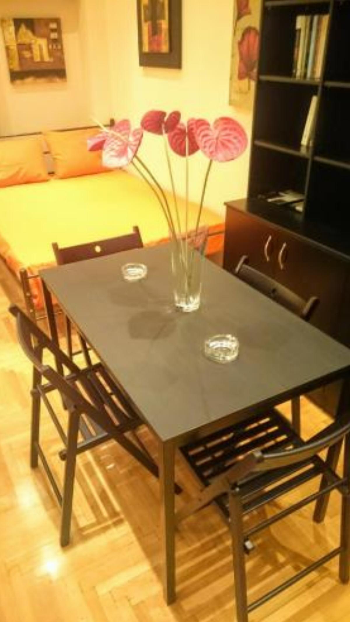 Modern apartment in Athens center Hotel Athens Greece