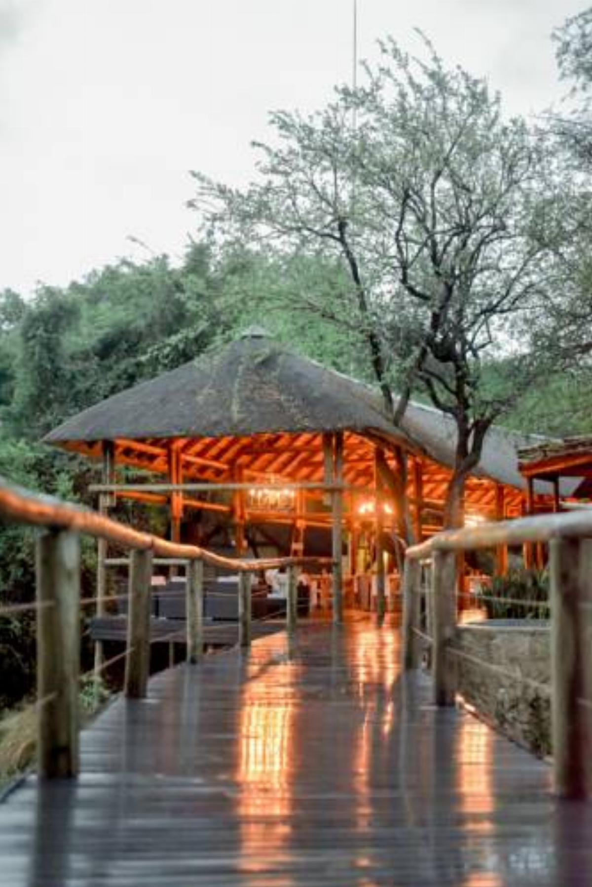 Moditlo River Lodge Hotel Hoedspruit South Africa