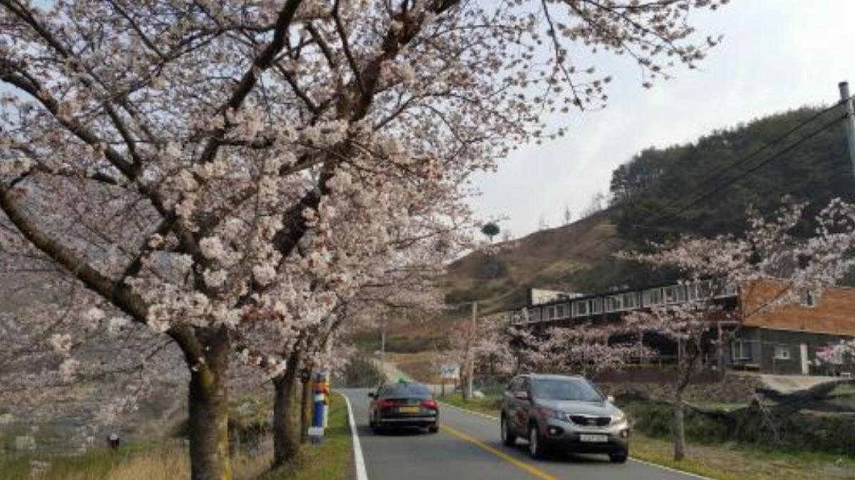 Mokkoji Pension Hotel Hadong South Korea