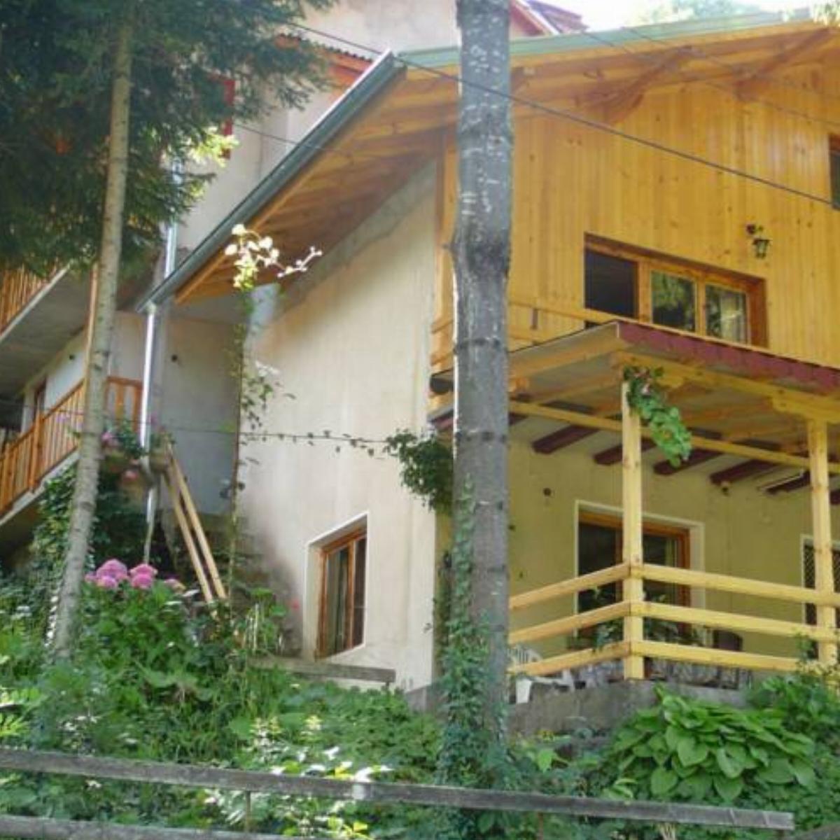 Mountain Sun Guest House Hotel Chiflik Bulgaria