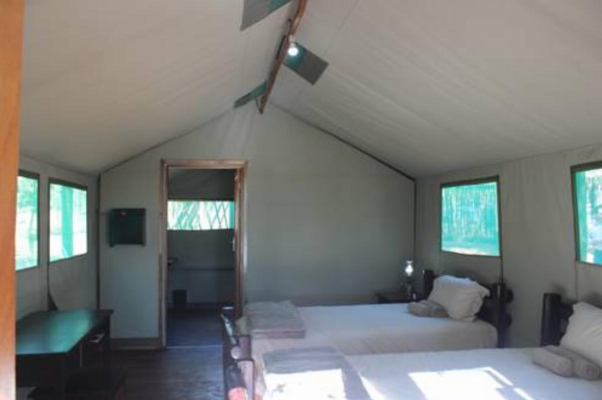 Mtomeni Safari Camp Hotel Letaba Wildlife Reserve South Africa