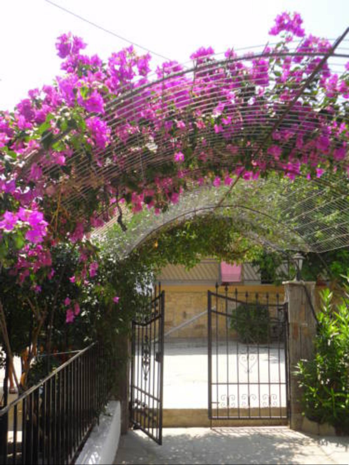 Nafsika Hotel Amoliani Greece