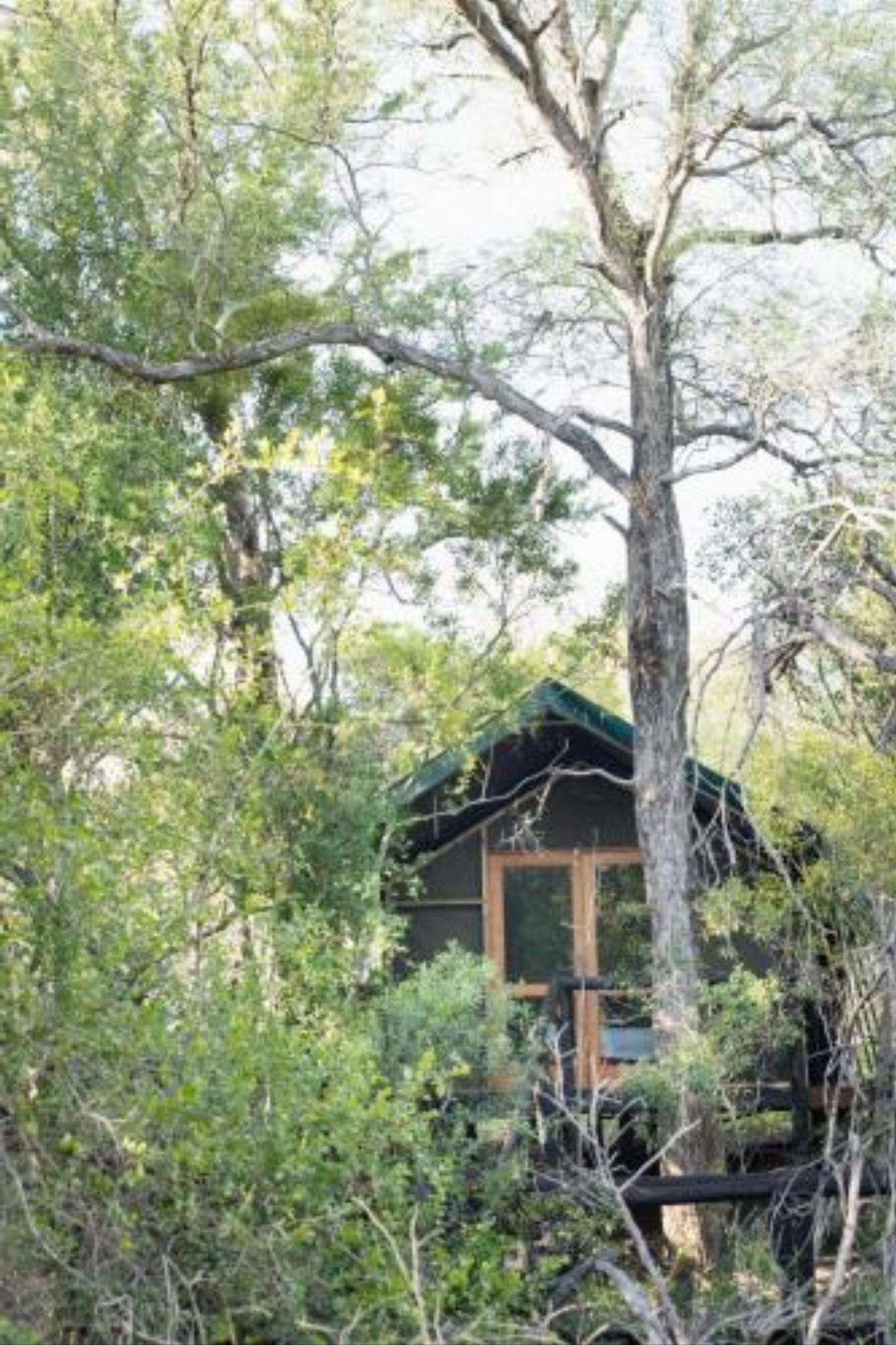 Ndzhaka Tented Camp Hotel Manyeleti Game Reserve South Africa