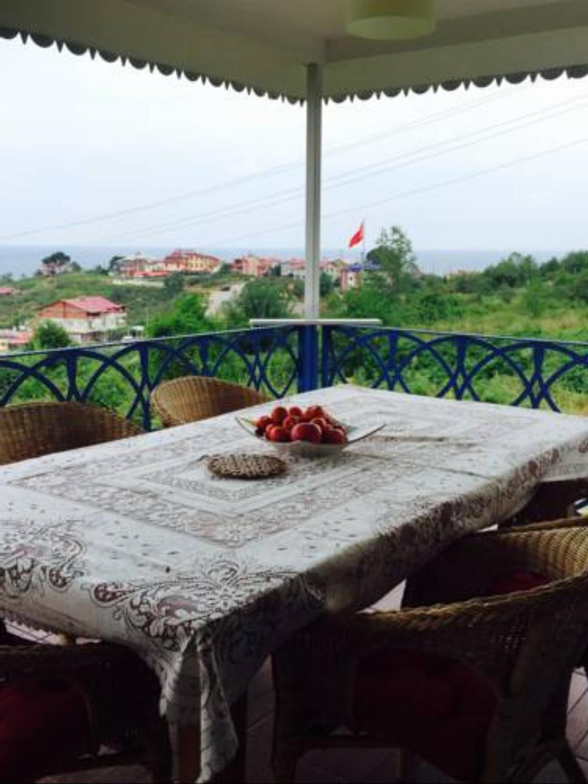 Nevin Hanım'ın Evi Hotel Piraziz Turkey