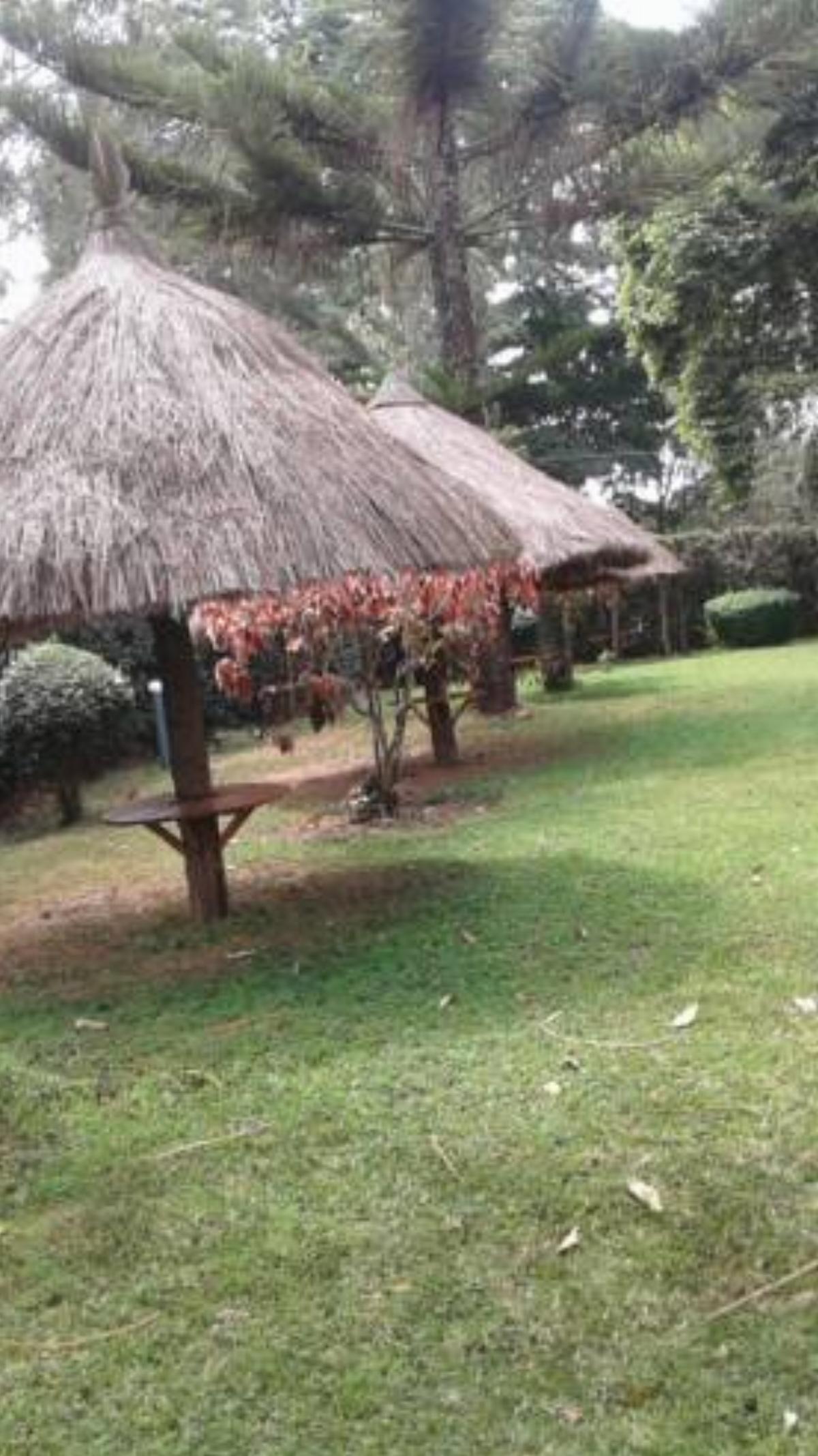 Ngorongoro Coffee Lodge Hotel Karatu Tanzania