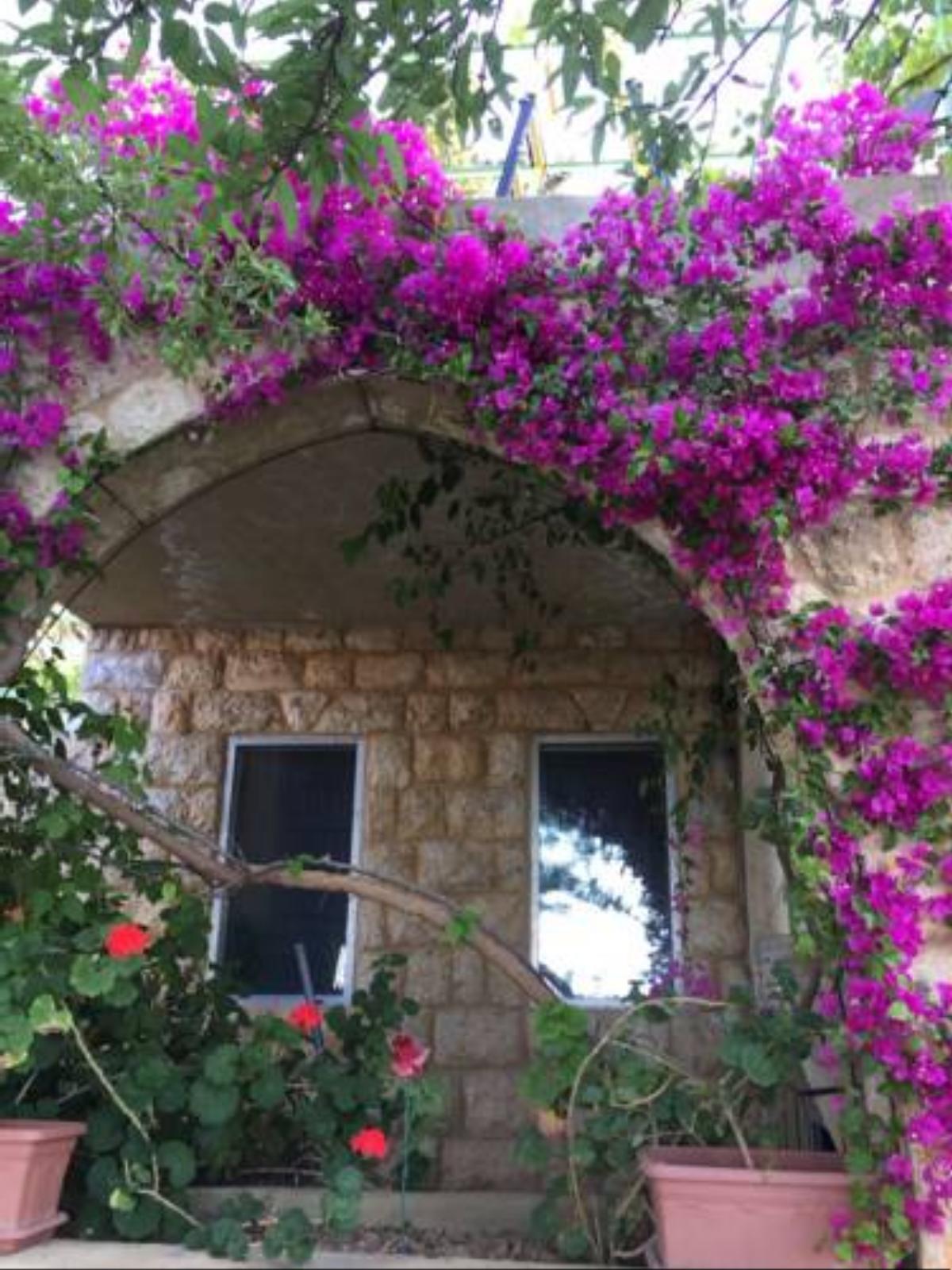 Old Souk Guest House Hotel Jounieh Lebanon